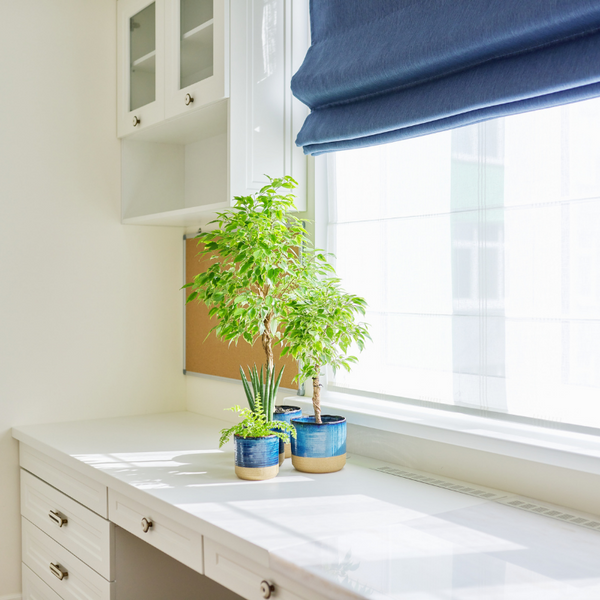 Roman Blind Making